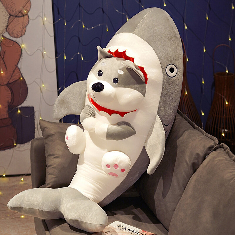 鲨猫和鲨狗，三只熊玩具礼品