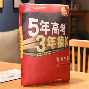 书本抱枕+视频