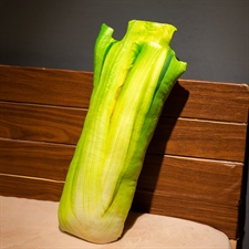 西芹