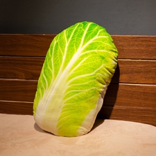 大白菜