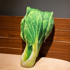 爱都工艺辅料 仿真蔬菜抱枕