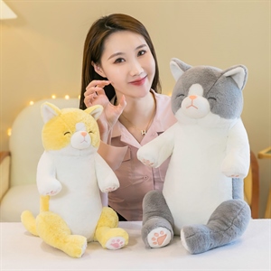 慵懒猫