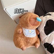 十二生肖毛绒玩具 鼻涕海豚