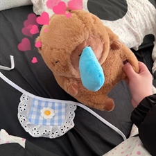 十二生肖毛绒玩具 鼻涕海豚