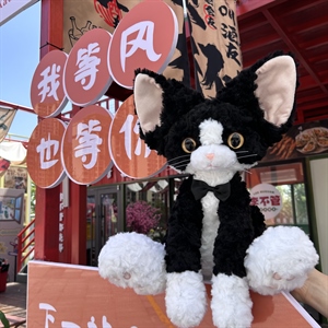 德文猫咪公仔黑白白色款