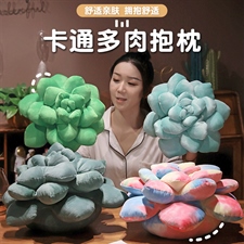卡通多肉抱枕,抱枕靠垫毛绒抱枕,天源玩具