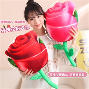 玫瑰花抱枕毯