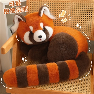 抱抱浣熊