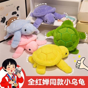 彩色趴趴小乌龟