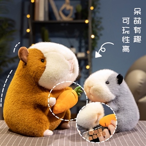 胡萝卜荷兰猪