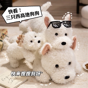 西高地犬