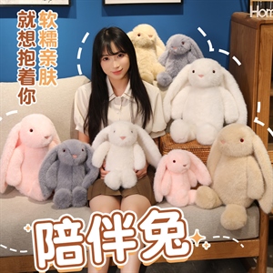 陪伴兔