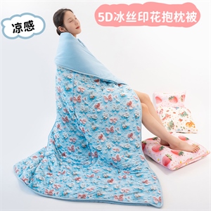 5D冰丝印花抱枕被