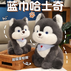 蓝巾哈士奇