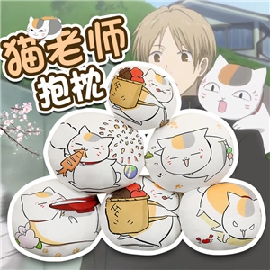 跨境新款猫老师抱枕